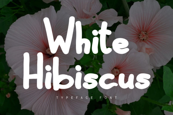 White Hibiscus: A Display Font for Elegant, Versatile Designs